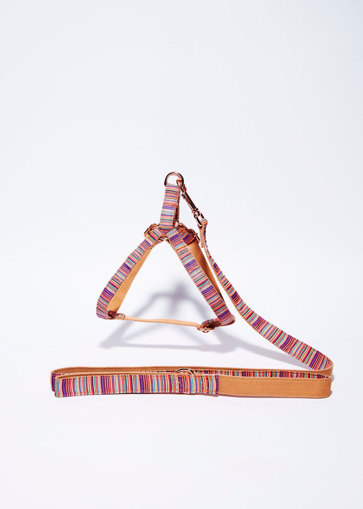 'Summer' Step In Harness Set - House Of Pets Delight (HOPD)