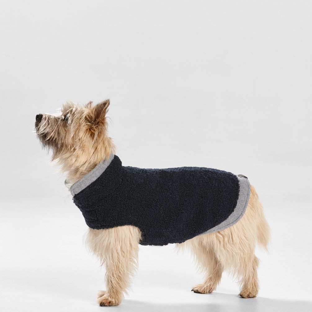 Teddy Dog Coat with Double Collar and Hem in Navy/Grey - House Of Pets Delight (HOPD)