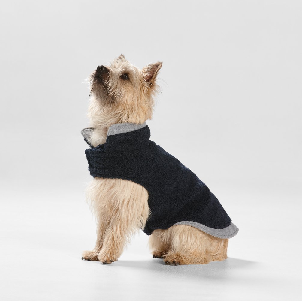 Teddy Dog Coat with Double Collar and Hem in Navy/Grey - House Of Pets Delight (HOPD)