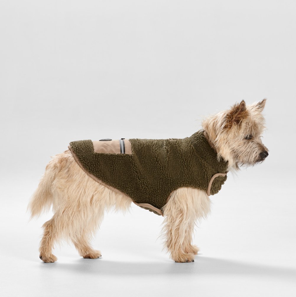 Teddy Dog Coat with Pocket in Khaki/Fawn - House Of Pets Delight (HOPD)