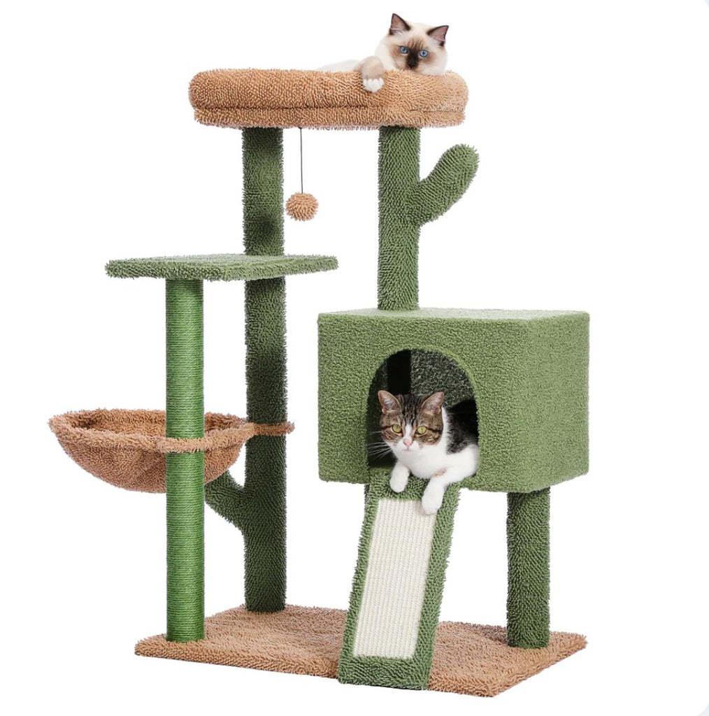 The Cactus Cat Playhouse - House Of Pets Delight (HOPD)