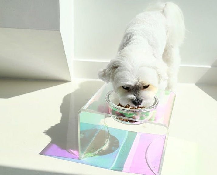 The Holographic Aurora Elevated Pet Feeding Table (PREORDER) - House Of Pets Delight (HOPD)