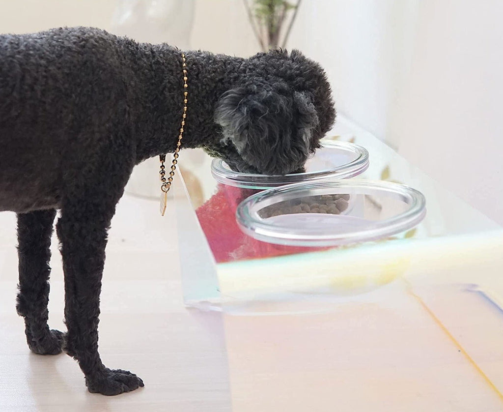 The Holographic Aurora Elevated Pet Feeding Table (PREORDER) - House Of Pets Delight (HOPD)