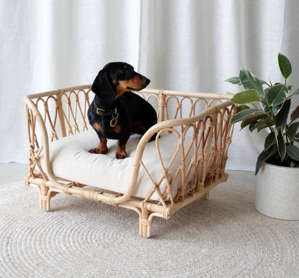 The Saski Rattan Dog Bed - Pre Order - House Of Pets Delight (HOPD)