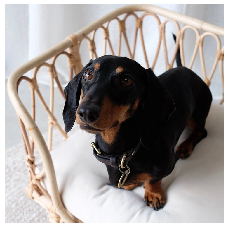 The Saski Rattan Dog Bed - Pre Order - House Of Pets Delight (HOPD)