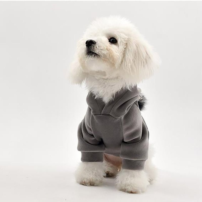 Thick Cotton Pom Pom Pet Hoodie - House Of Pets Delight (HOPD)