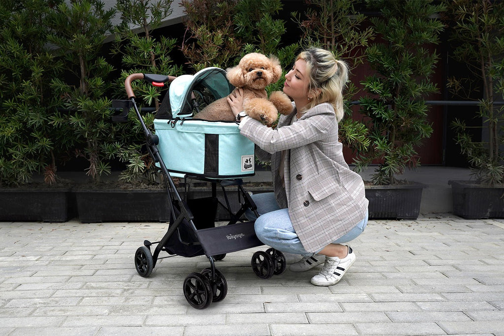 Travois Tri - fold Pet Travel System – Spearmint - House Of Pets Delight (HOPD)