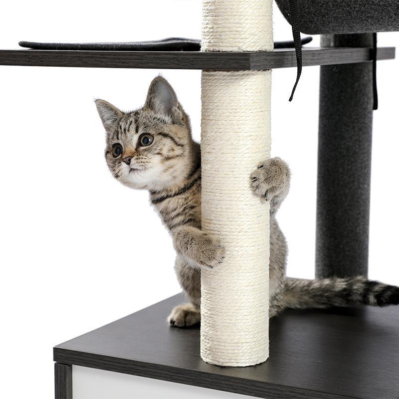 Tunnel Modern Cat Tree in Black - House Of Pets Delight (HOPD)