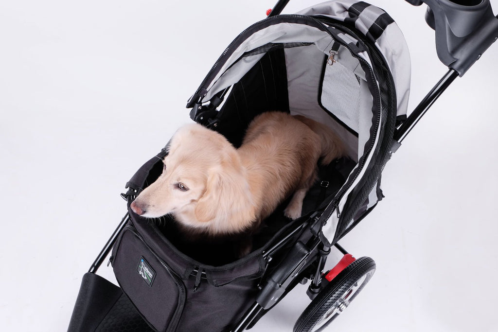 Turbo Pet Jogger - Black - House Of Pets Delight (HOPD)