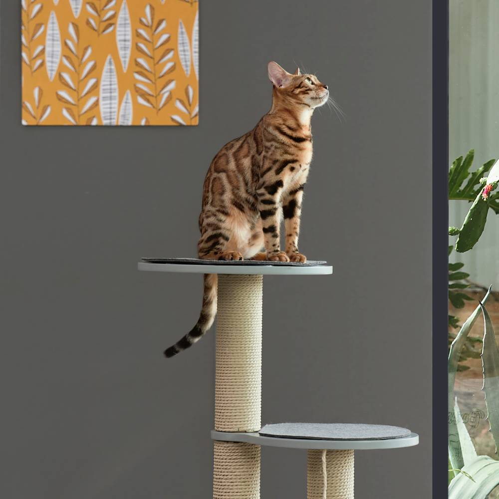 Vigour Party Cat Tree 105cm - House Of Pets Delight (HOPD)