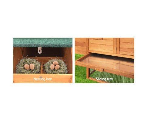 Wide Wooden Chicken Coop with Nesting Box - House Of Pets Delight (HOPD)