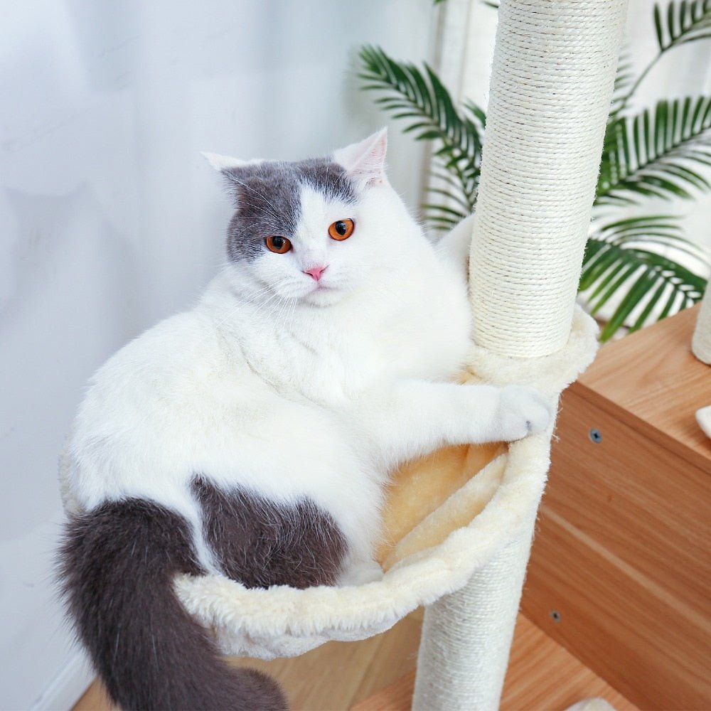 Wooden Large Hammock Cat Tree in Beige - House Of Pets Delight (HOPD)