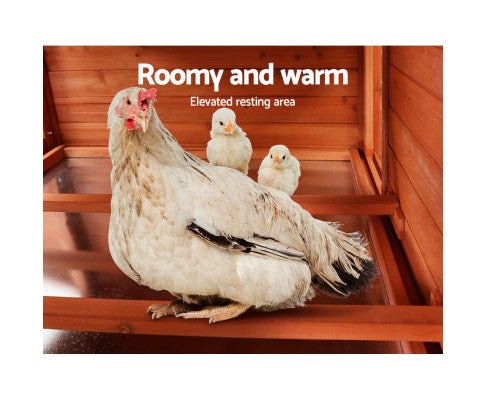 XL Pet Chicken Rabbit Hutch with Large Run - House Of Pets Delight (HOPD)